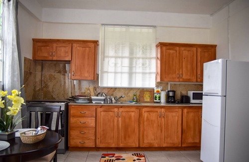Saint George Parish Apartment | Comfortable Studio Apartment with Full Kitchen and Dining in Roseau