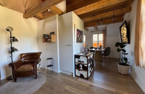 Zweisimmen Apartment | Comfy, Spacious and Central Duplex Apartment