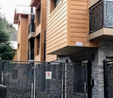 San Martin de los Andes Apartment | Complejo Lanín