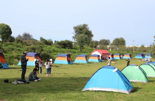 Nanacamilpa Other | COMPLEJO DE HOSPEDAJE EN BOSQUE ECO REINO AVENTURA