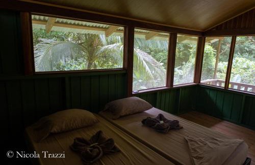 Drake Bay Cabin | Complejo Ecoturistico Tamandua