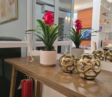 Compostela Apartment | Compostela Guest House with Car Park, Wifi, Netflix