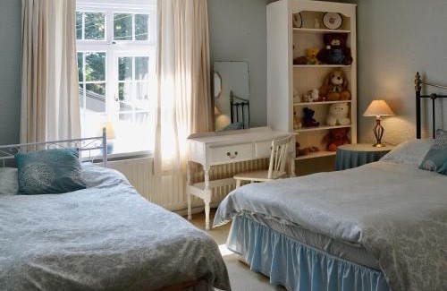 South Molton House | Conifers