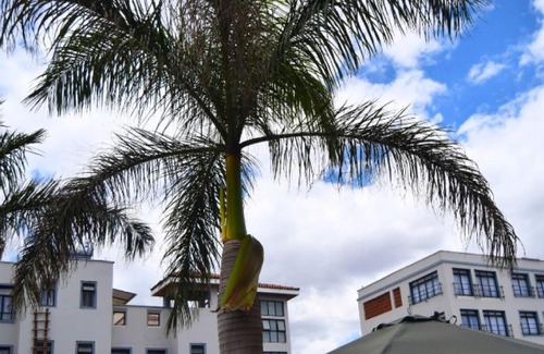 Kitengela Hotel | Conrad Hotel - Kitengela