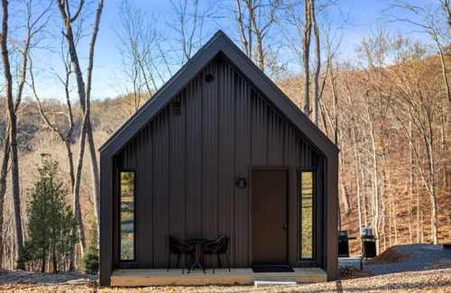 Almont Cabin | Constellation Virgo Suite