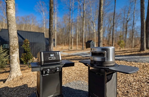 Almont Cabin | Constellation Virgo Suite