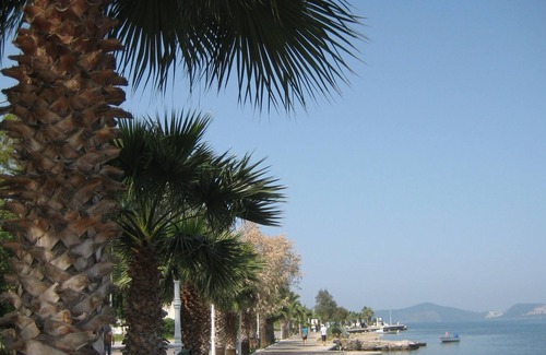 Milas Apartment | Contemporary designer penthouse on the Aegean Sea with breath taking views