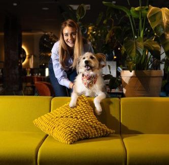 Old Town Hotel | CONTI HOTEL VILNIUS, Conference Centre, Restaurant & Bar