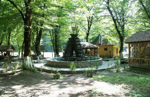 Gabala Hotel | Cool Forest Gabala