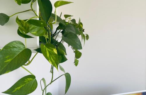 Bratislava Apartment | CoolHue
