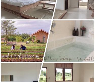 Wang Nam Khiao House | COOLLiving Farmhouse Organic