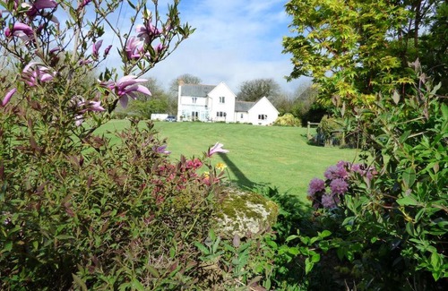 Trewen Bed & Breakfast | Copper Meadow