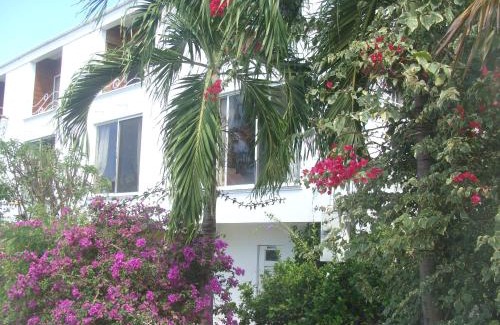 Durants Hotel | Coral Lane Beach Apartments