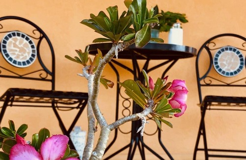 Upper Carolina House | Coral Livin' - Enjoy the Views, Gentle Breezes and Charm of Coral Bay
