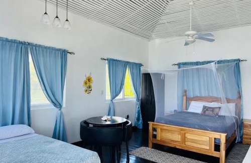 Isla Bastimentos Apartment | Coral Wing Casitas