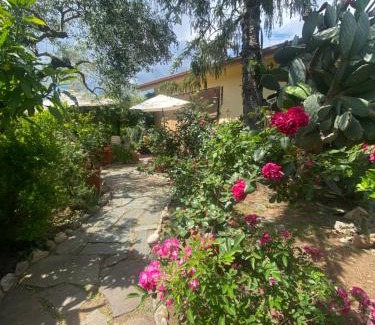 Castelnuovo di Porto Bed & Breakfast | Corelli & Company Rose Musica e Libri