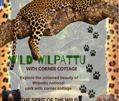 Anuradhapura House | Corner Cottage - Anuradhapura
