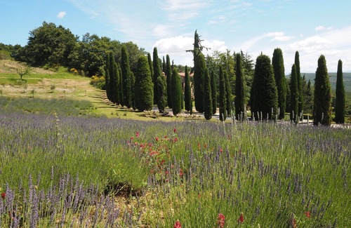 San Gimignano Apartment | Cornocchio 3 - Apartment with swimming