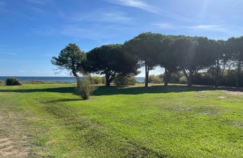 Poggio-Mezzana Apartment | Corsica Poggio