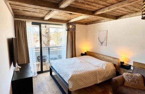 Harrachov Apartment | CORSO RUSTIC Luxury Apartment Harrachov, Ski in - Ski out, High Speed Wi-fi, Smart TV