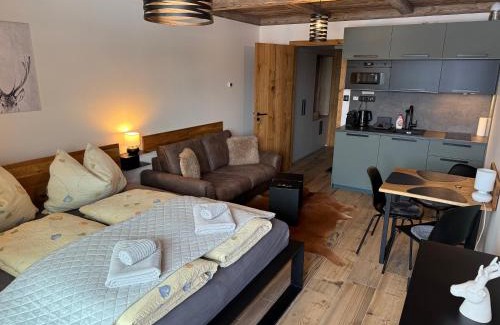 Harrachov Apartment | CORSO RUSTIC Luxury Apartment Harrachov, Ski in - Ski out, High Speed Wi-fi, Smart TV