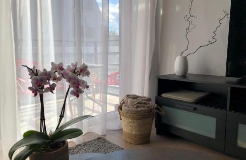 Old Town Apartment | Cosy 1 bedroom apartment in the heart of old town with parking