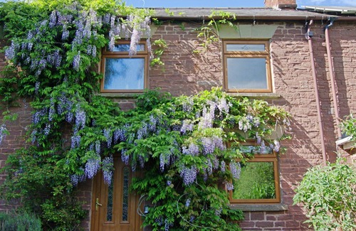 Mitcheldean Cottage | Cosy 18th century cottage. Pet friendly. Absolute tranquility!