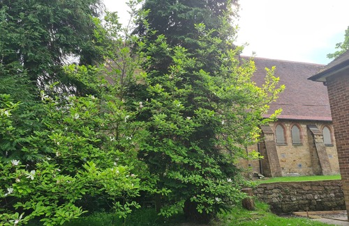 Flintshire Cottage | Cosy annexe in beautiful north Wales