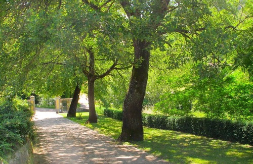 San Giovanni Valdarno Apartment | Cosy apartment for 6 people with pool, WIFI, TV, pets allowed and parking