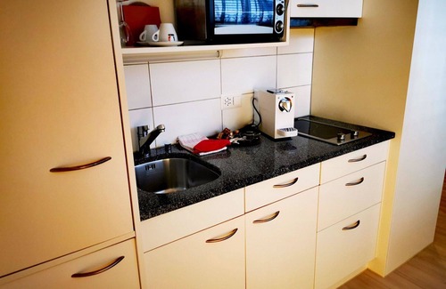 Thun Apartment | Cosy apartment for 2 people with WIFI, TV, balcony and pets allowed