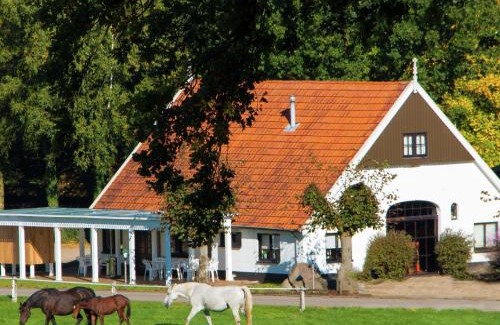 Ootmarsum Ski Chalet | Cosy chalet with gas fireplace in Twente