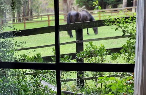 Bilpin House | Cosy Elmview Cottage an idyllic couples escape