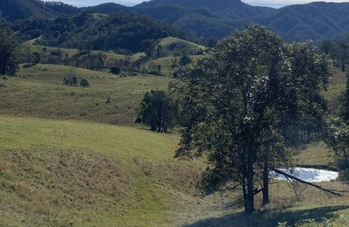 Killabakh RV Rental | Cosy glamping tent with mountain views… and friendly moos