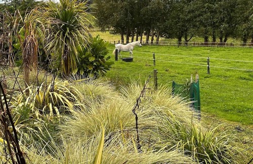 Whanganui Apartment | Cosy Retreat, Nestled in Tranquil Rural Land With Lovely Views