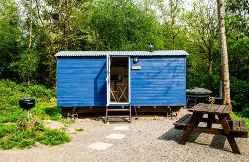 Acton Scott House | Cosy Shepherd's Hut with Hot Tub