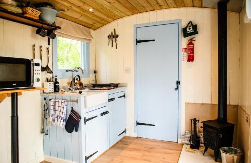 Acton Scott House | Cosy Shepherd's Hut with Hot Tub