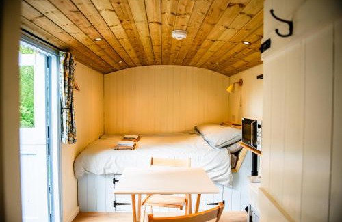 Acton Scott House | Cosy Shepherd's Hut with Hot Tub