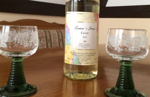 Kapellen-Drusweiler House | Cosy vineyard on the Southern Wine Route