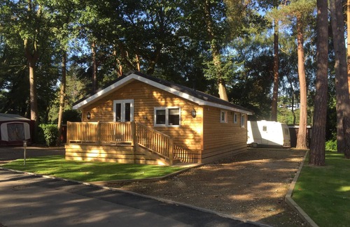 Wokingham Cabin | COSY WOODLAND SET THREE BEDROOM HOLIDAY HOMES CLOSE TO WINDSOR CASTLE