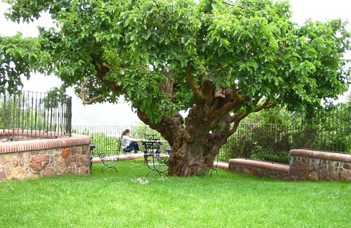 El Rasillo de Cameros Cottage | Cottage, 20 people, garden, barbecue, pets allowed