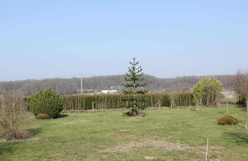 Jupilles House | Cottage 6/8 pers. Jupilles, 50m zoo of the Arrow, 30 minutes from Le Mans, Bercé forest .