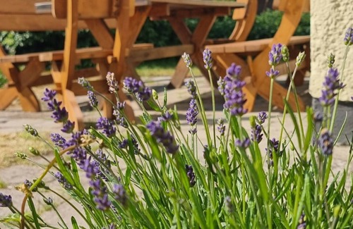 Hintersee House | Cottage, Fireplace, Sauna, Forest, Dogs allowed