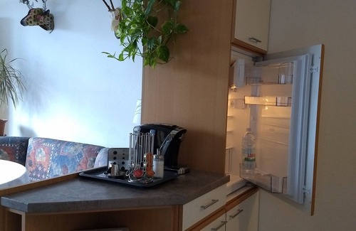 Schladming Apartment | Cottage Hinteregg amid Ski/hiking region Schladming-Dachstein
