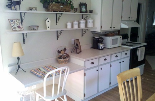 Oden Cottage | Cottage Home Crooked Lake Alanson by Petoskey Harbor Springs Mackinac WIFI Cable