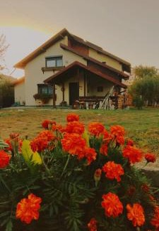 Bradulet House | Cottage in traditional village Bradulet, Arges county