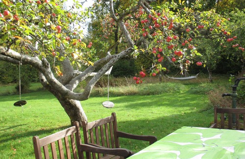 Bolmen Cottage | Cottage lake in the village Bolmen, Sauna, Fishing, Bicycles, Wi-Fi