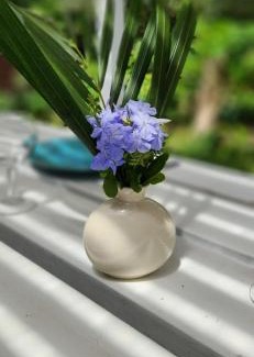 Temae House | Cottage Manua