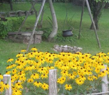 Gornja Stubica Apartment | Cottage on Hill