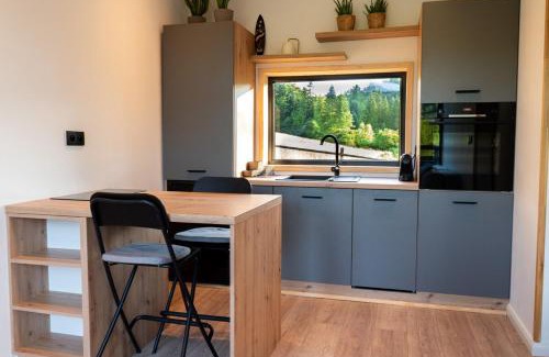 Jelesnia Ski Chalet | Cottage with sauna doBeskid