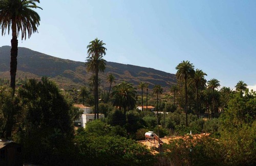 Santa Lucia House | Country cottage EL Olivar - El Orujo